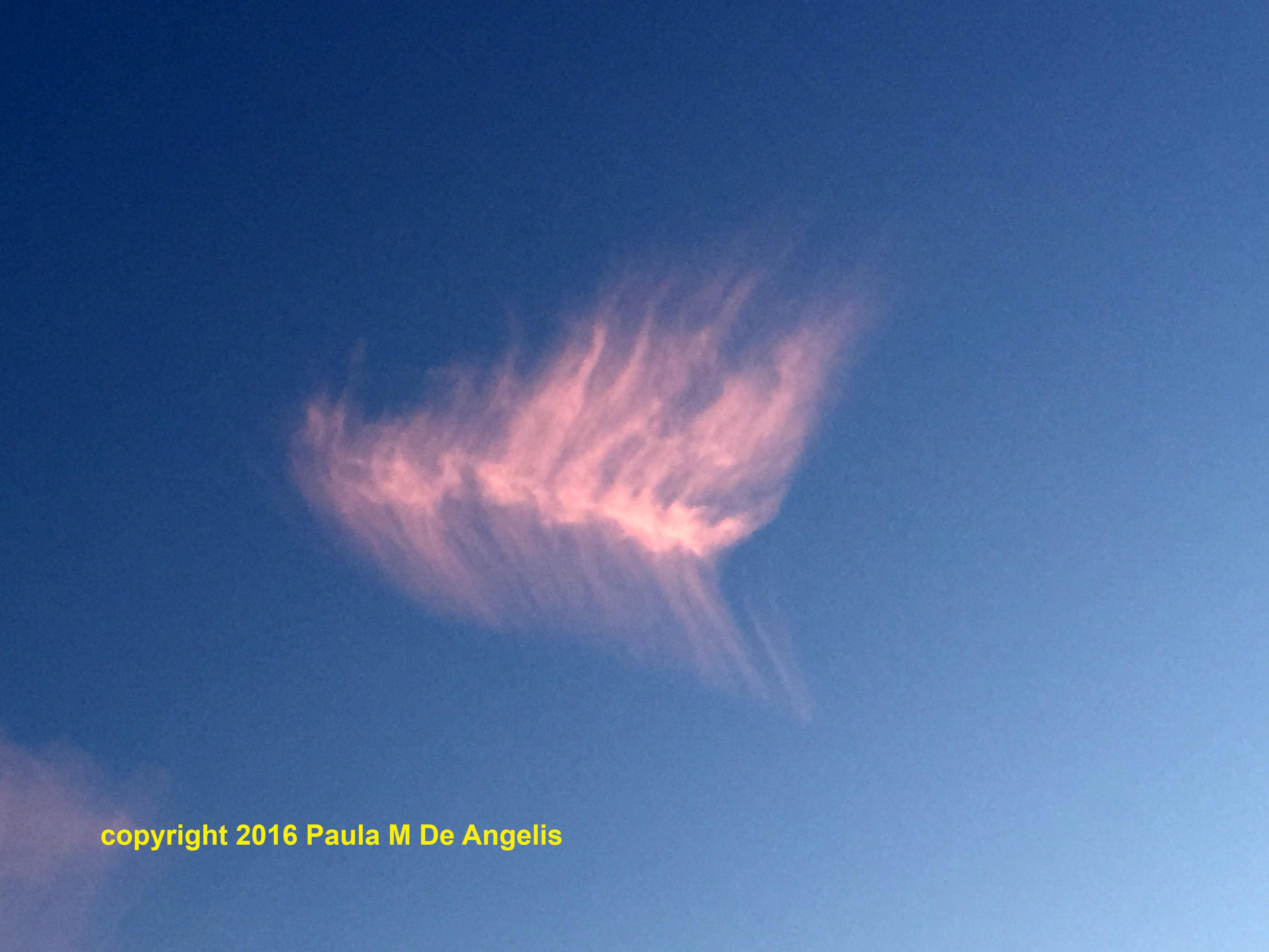 Feather cloud