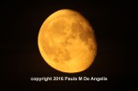 cropped-september-moon-2
